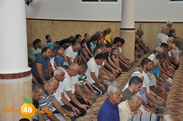 msajed amer qder 804 (7).JPG